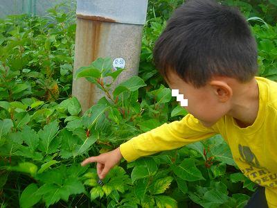 6月 310.jpg