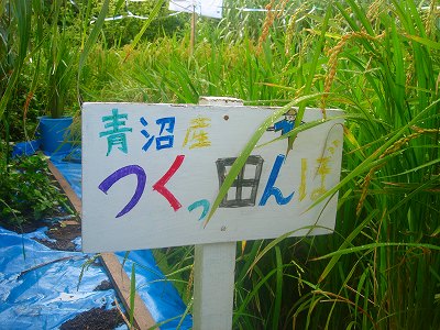9月 067.jpg
