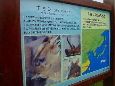 八丈 061.jpg