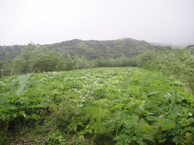 DSC00032.jpg