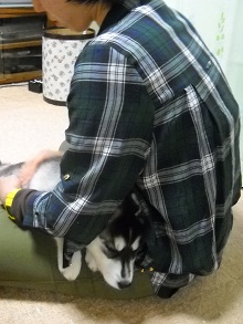 2011-11-26 006.JPG