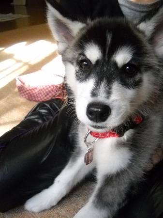 2011-11-26 040.JPG