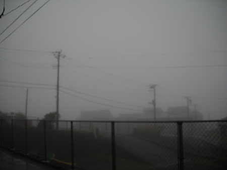 2011-11-29 001.JPG