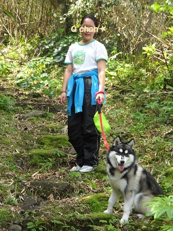 2012-03-20 011 - コピー.JPG