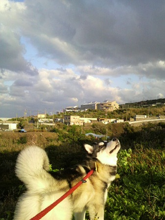 2012031216520000.jpg